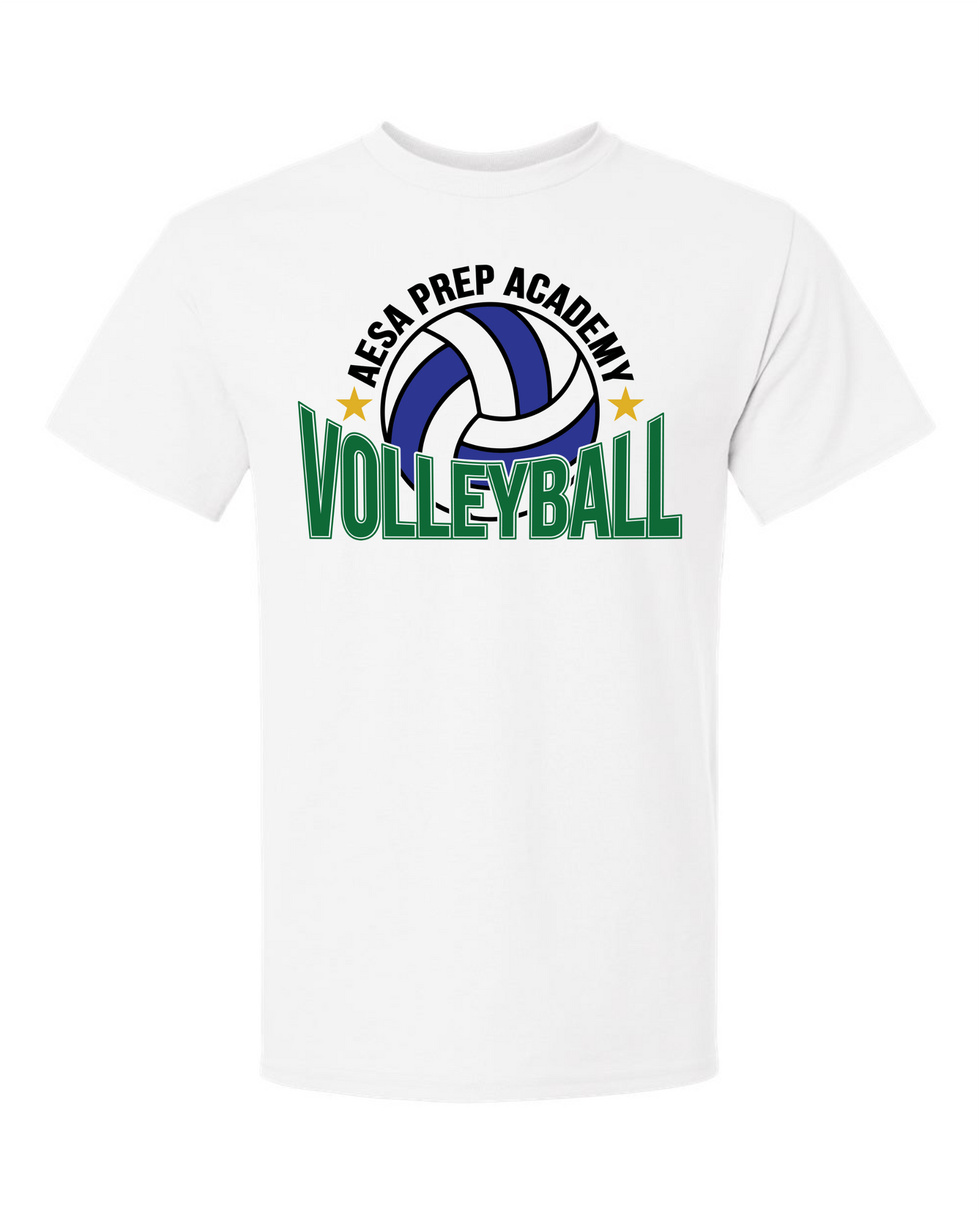 AESA Volleyball T-Shirt - 2 Options