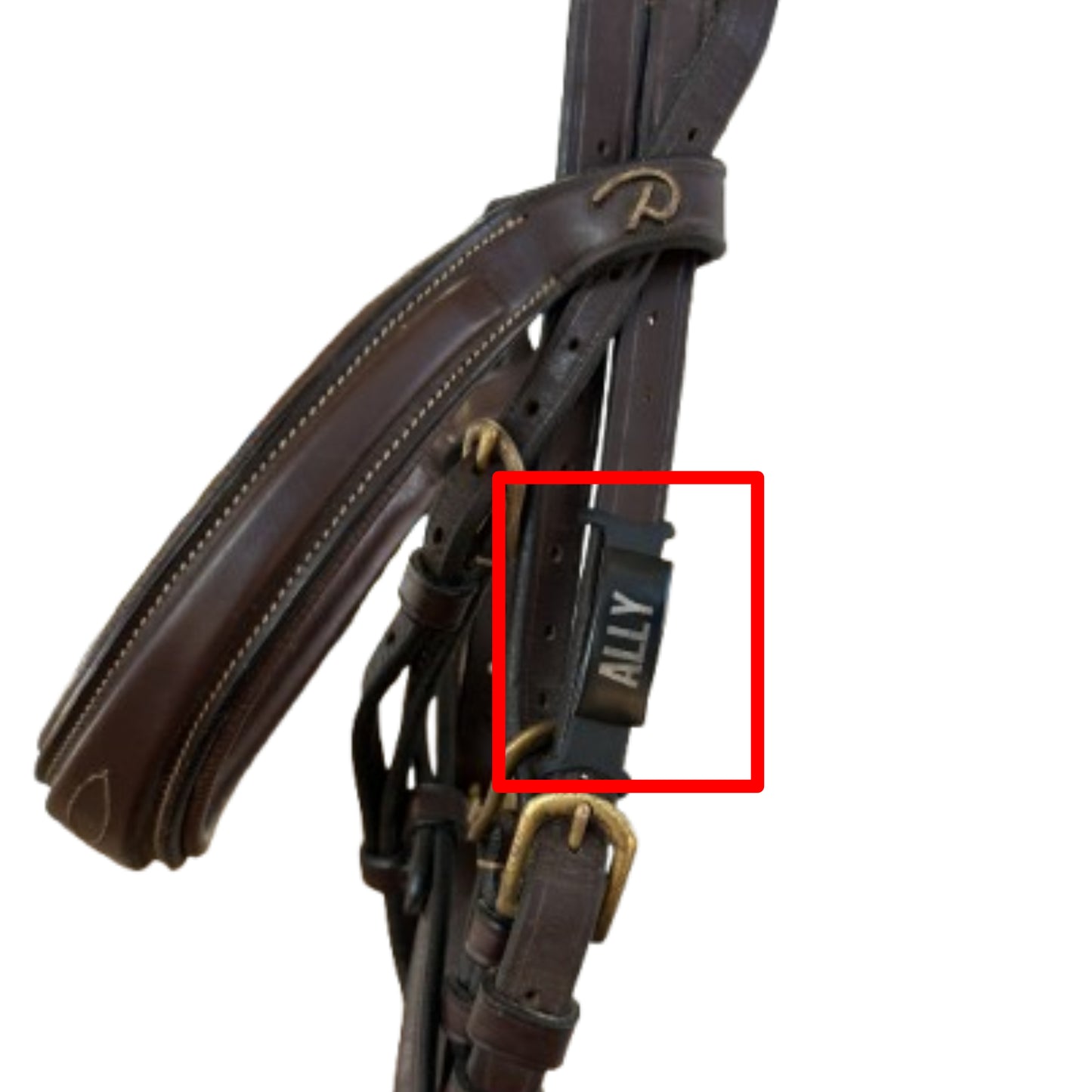 Horse Tag Black Stainless Steel Engraved Tags