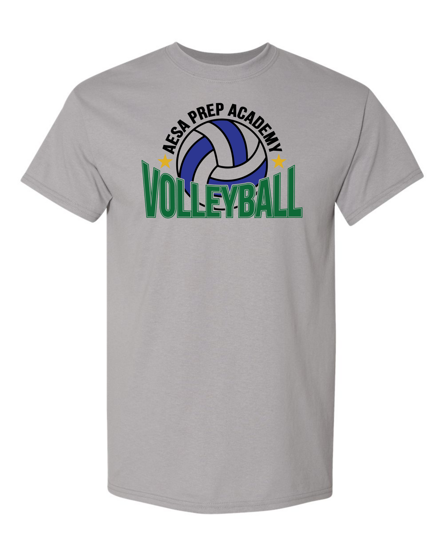 AESA Volleyball T-Shirt - 2 Options