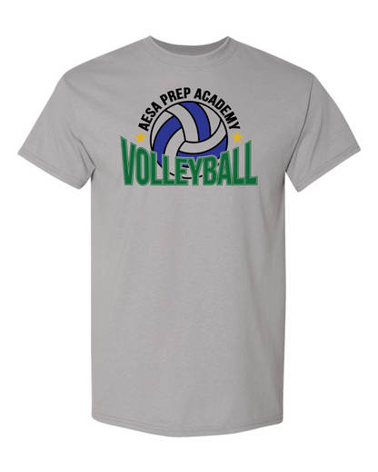 AESA Volleyball T-Shirt - 2 Options