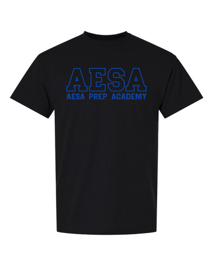 AESA Varsity Text T-Shirt - 11 Options