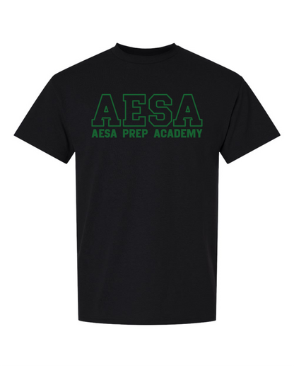 AESA Varsity Text T-Shirt - 11 Options