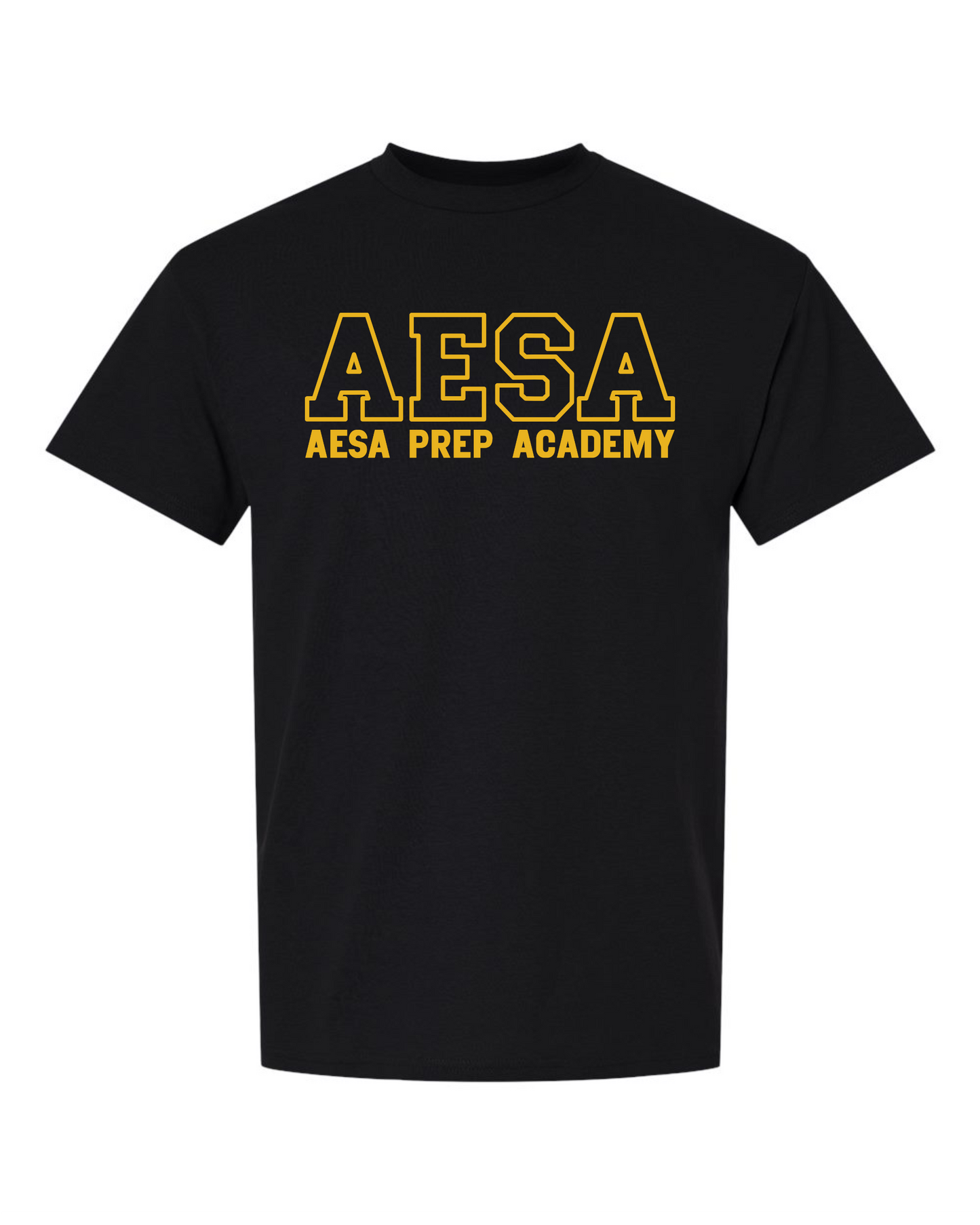 AESA Varsity Text T-Shirt - 10 Options