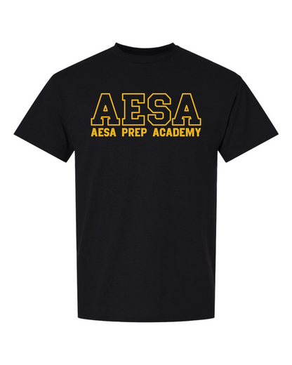 AESA Varsity Text T-Shirt - 11 Options