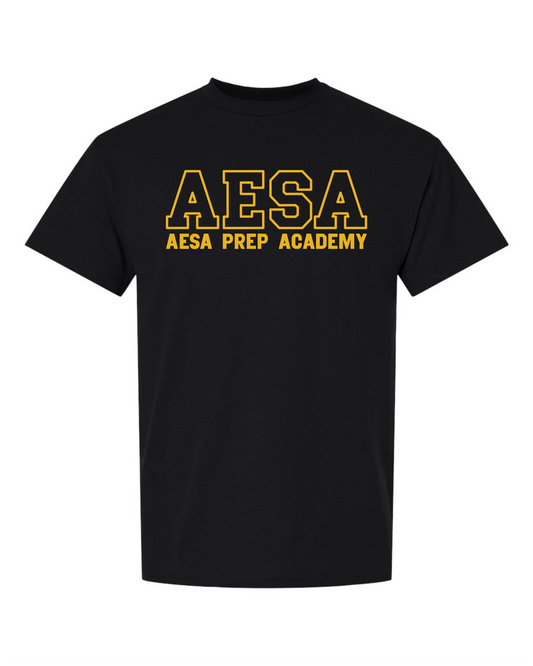 AESA Varsity Text T-Shirt - 11 Options