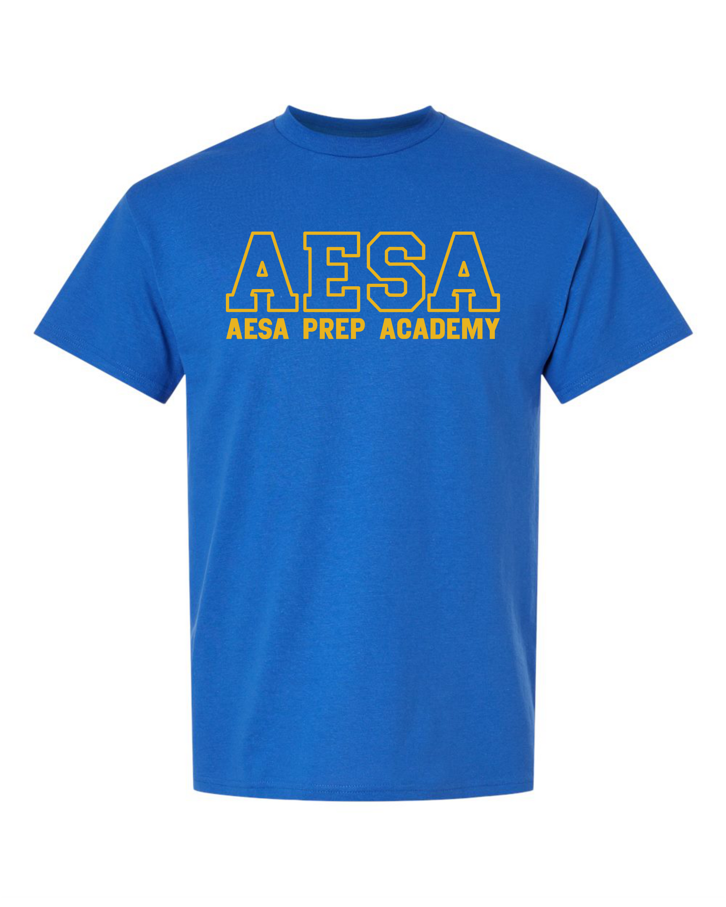 AESA Varsity Text T-Shirt - 10 Options