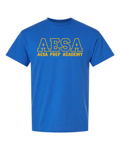 AESA Varsity Text T-Shirt - 11 Options