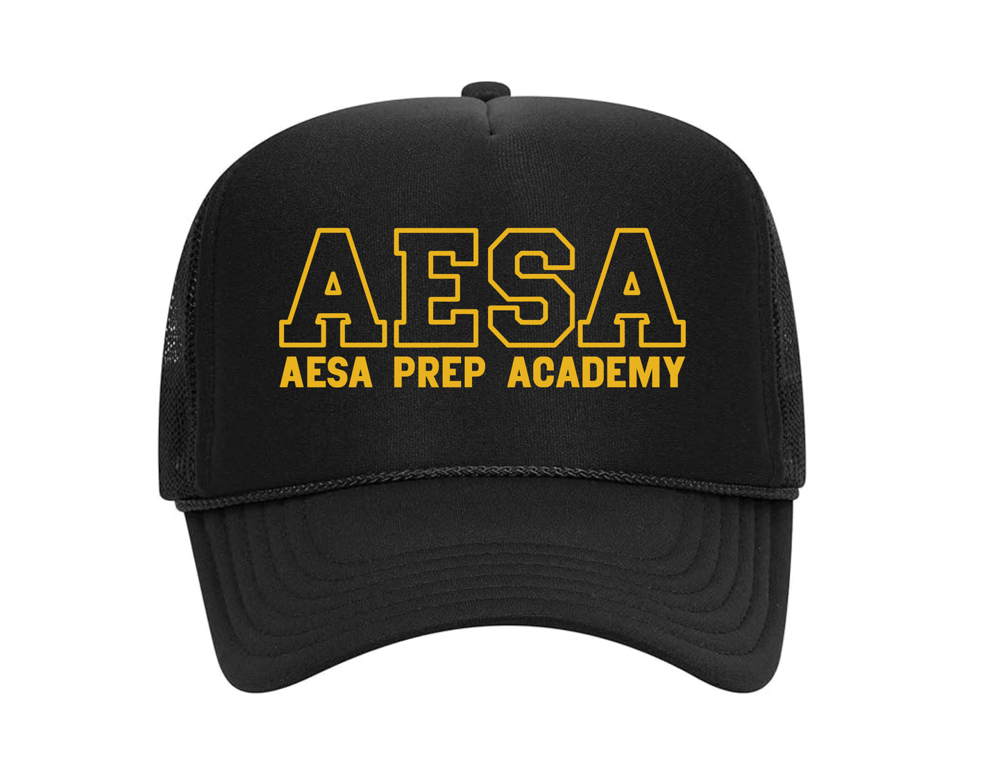 AESA Varsity Text Hat - 11 Options