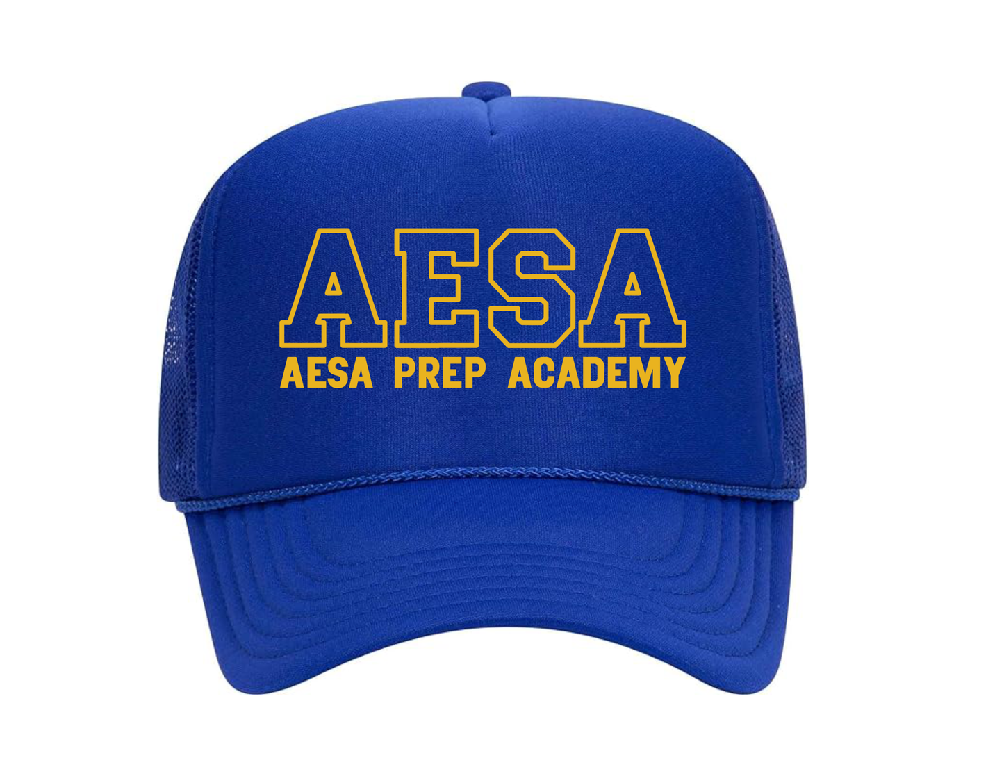 AESA Varsity Text Hat - 11 Options