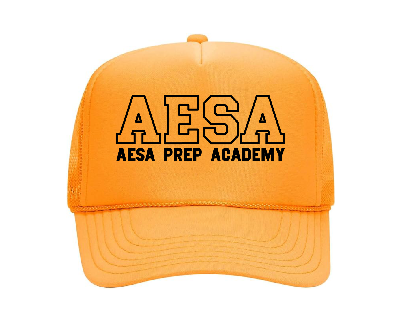 AESA Varsity Text Hat - 11 Options
