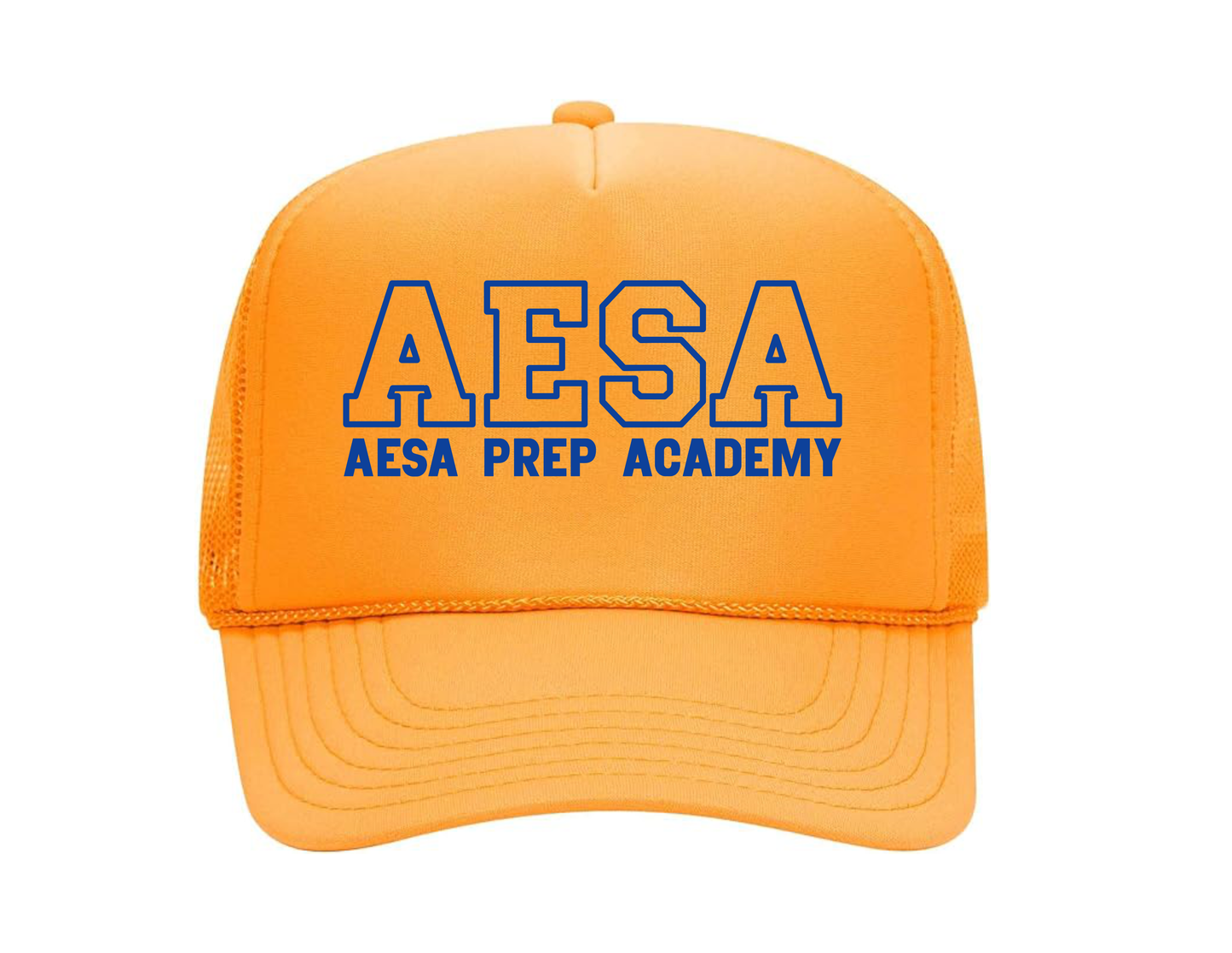 AESA Varsity Text Hat - 11 Options