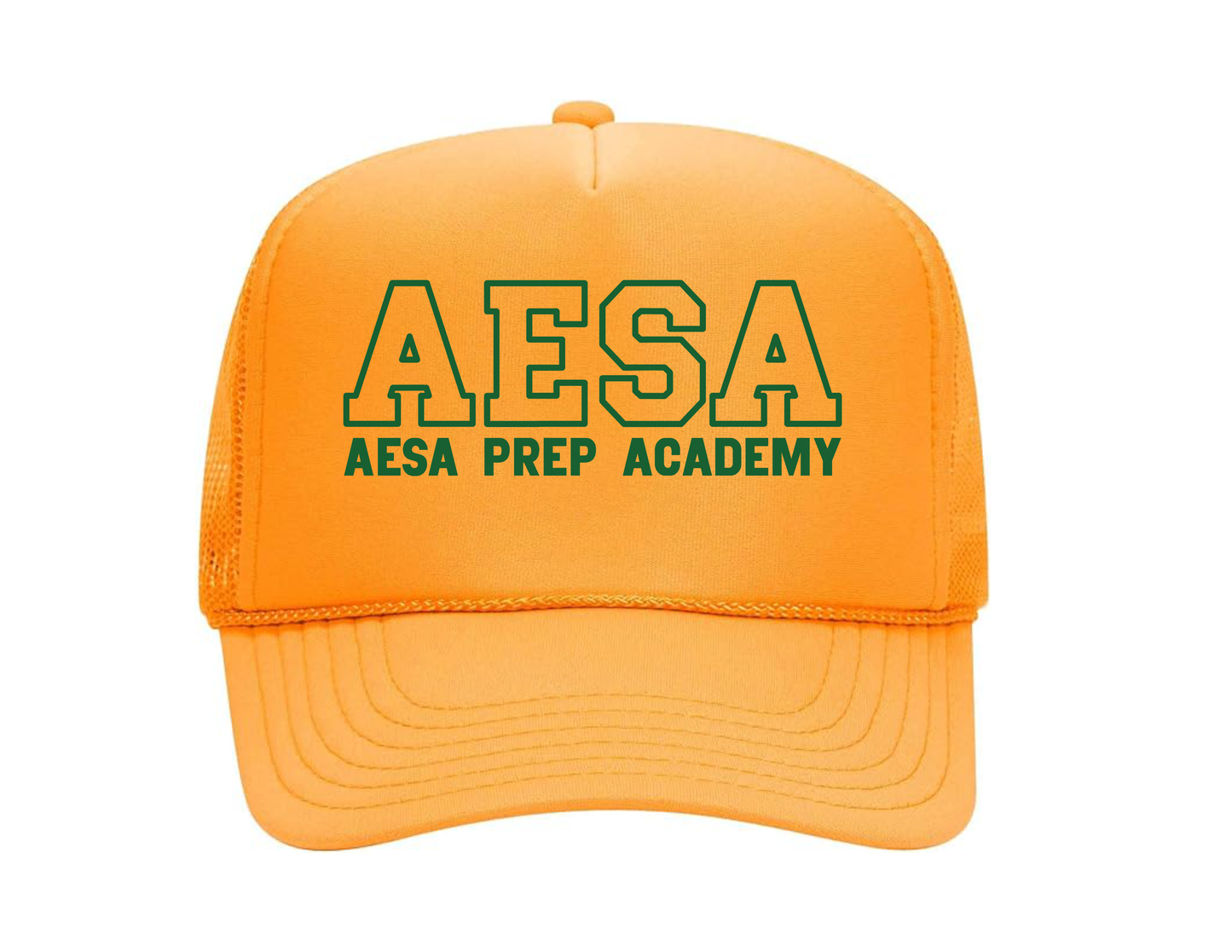 AESA Varsity Text Hat - 11 Options
