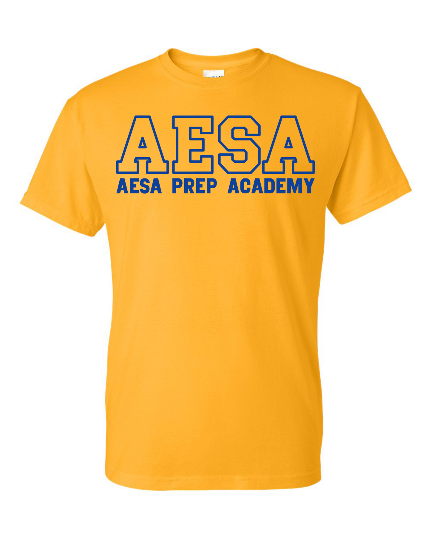AESA Varsity Text T-Shirt - 10 Options