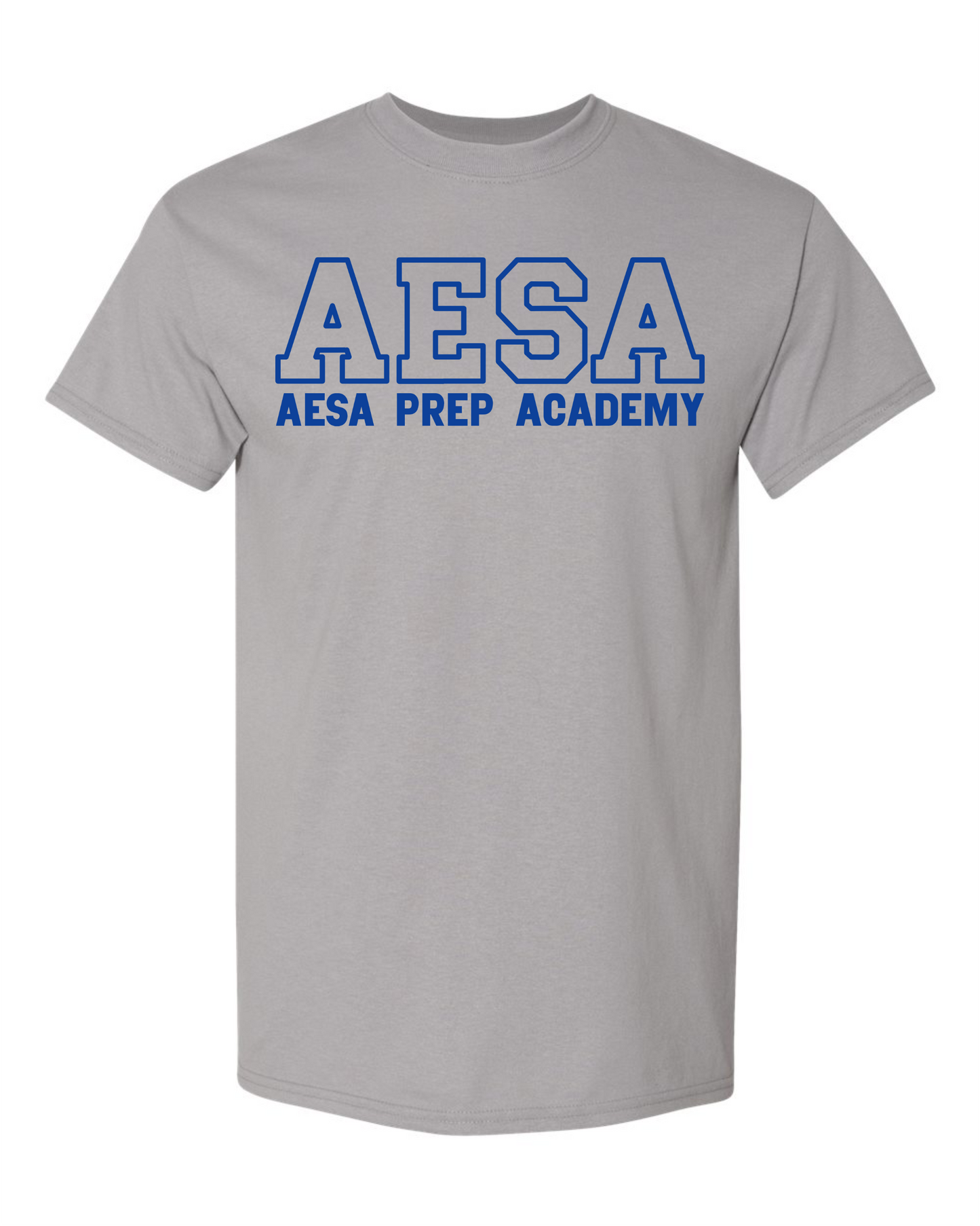 AESA Varsity Text T-Shirt - 10 Options
