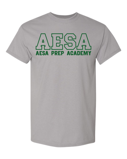 AESA Varsity Text T-Shirt - 11 Options