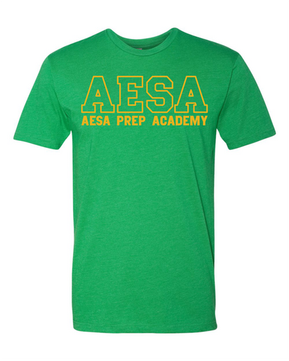 AESA Varsity Text T-Shirt - 11 Options