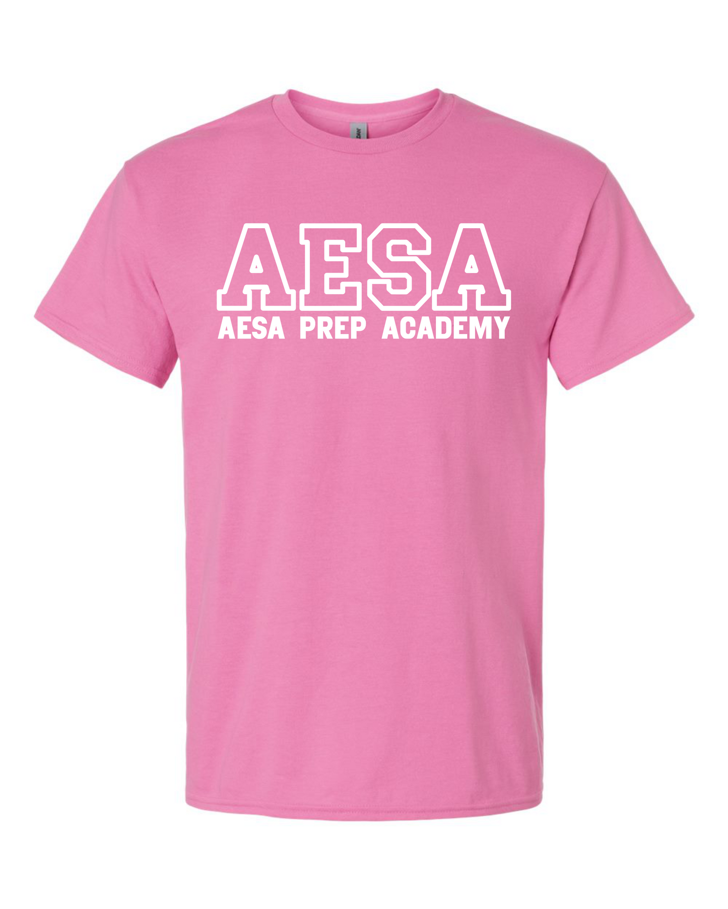 AESA Varsity Text T-Shirt - 11 Options